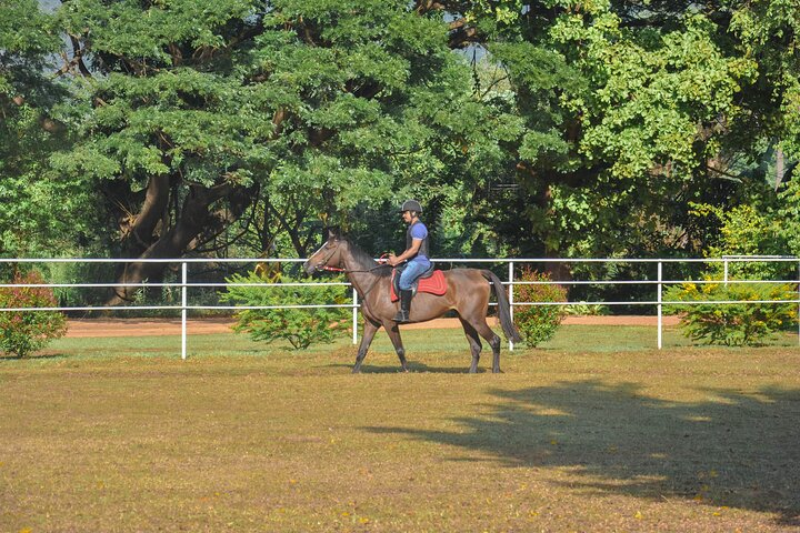 Horse Riding for Beginners from Negombo - Photo 1 of 6